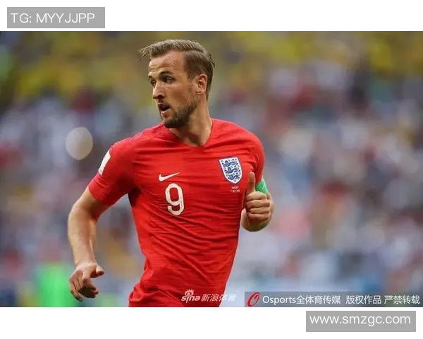 德布靳森足球队球星身价分析与市场趋势预测